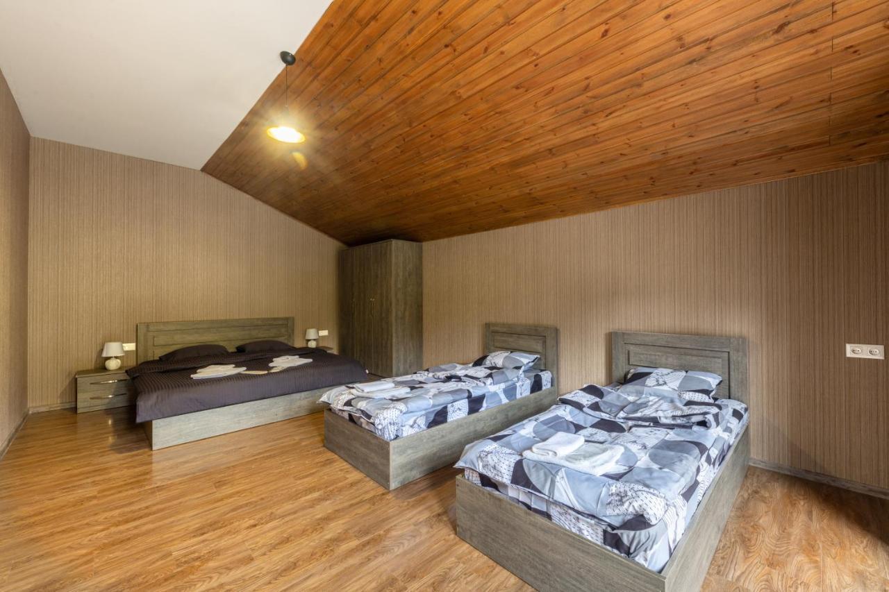 - Didveli Residence Lux Apartments - Bakuriani Exteriér fotografie