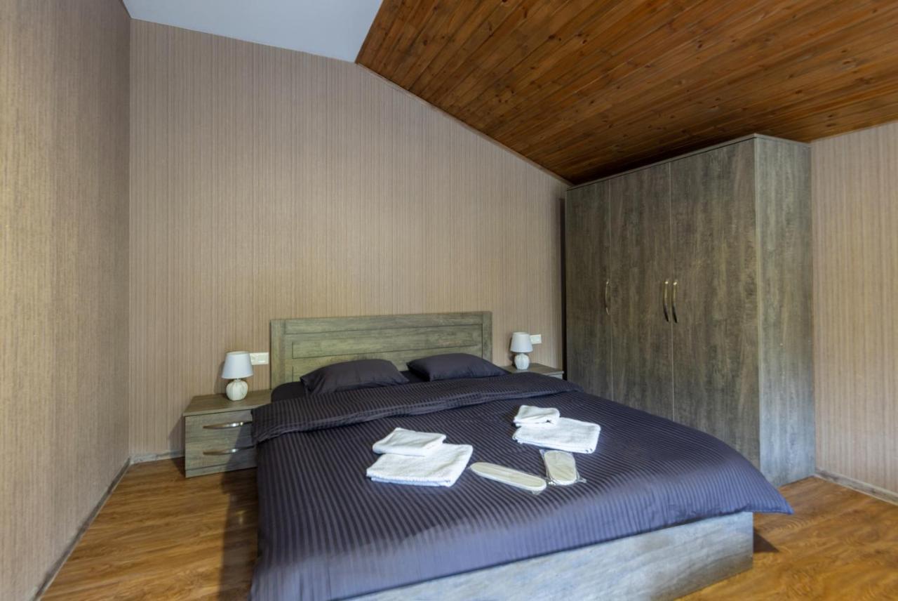 - Didveli Residence Lux Apartments - Bakuriani Exteriér fotografie