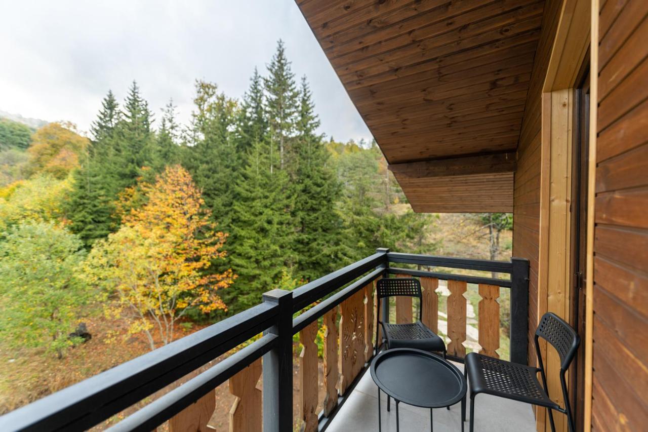 - Didveli Residence Lux Apartments - Bakuriani Exteriér fotografie