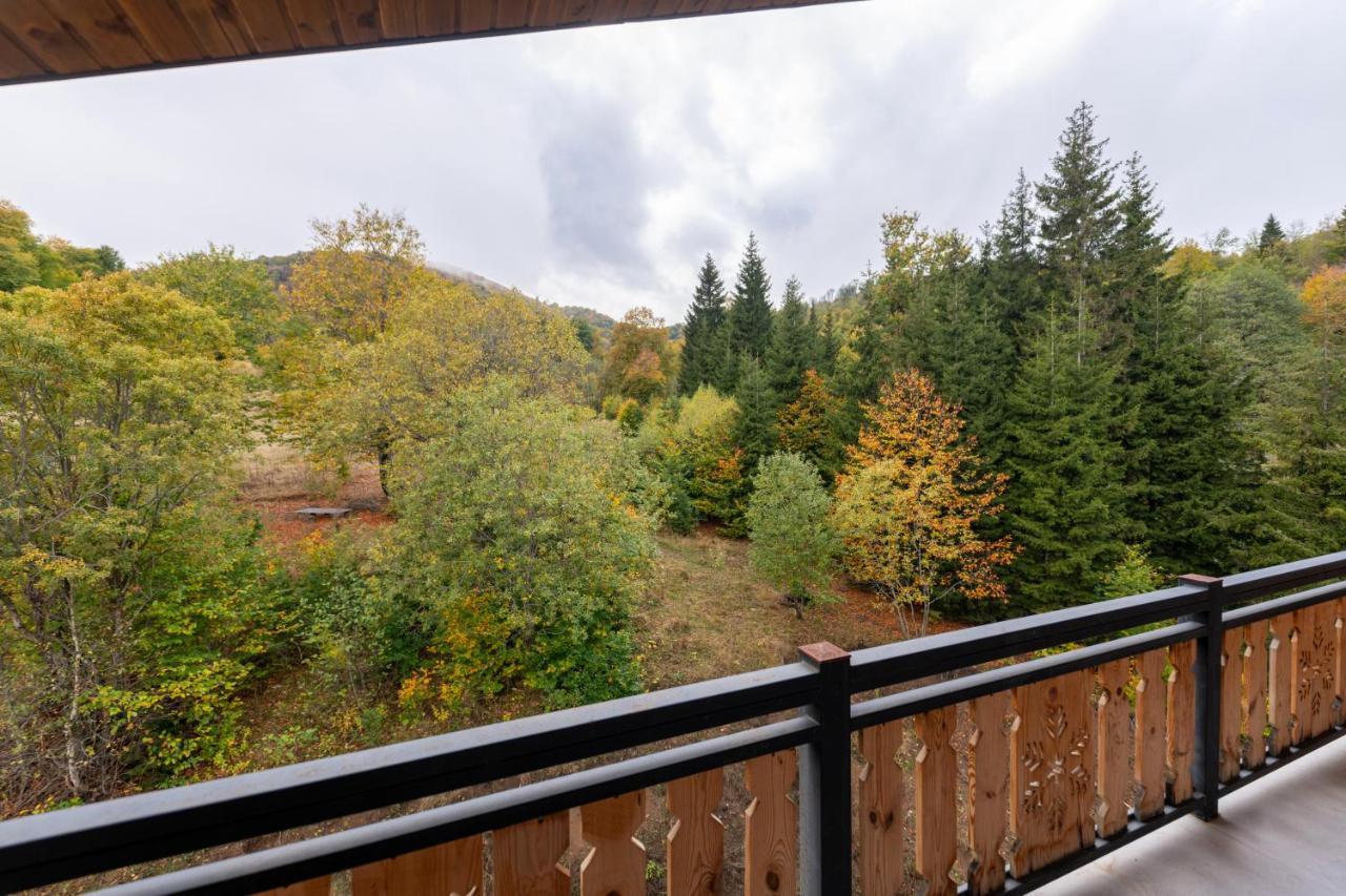 - Didveli Residence Lux Apartments - Bakuriani Exteriér fotografie