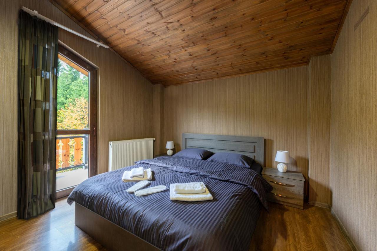 - Didveli Residence Lux Apartments - Bakuriani Exteriér fotografie