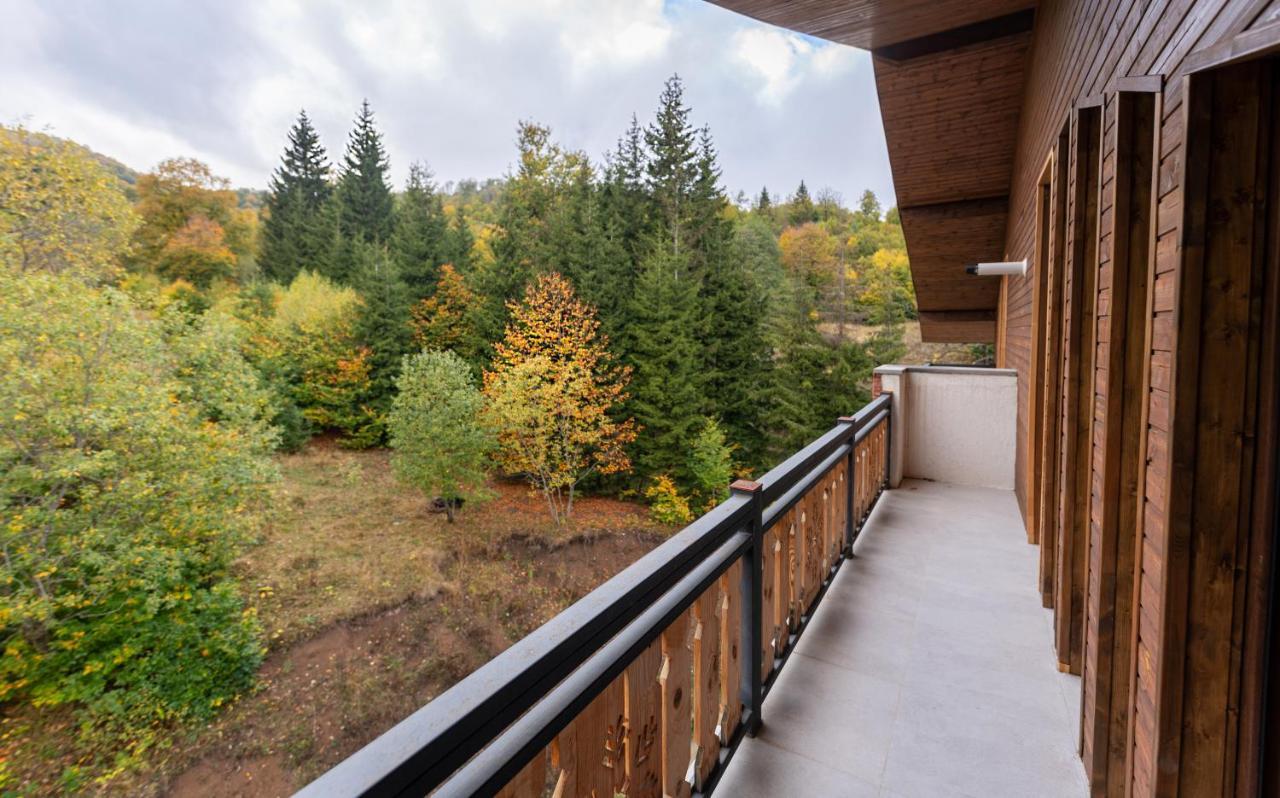 - Didveli Residence Lux Apartments - Bakuriani Exteriér fotografie