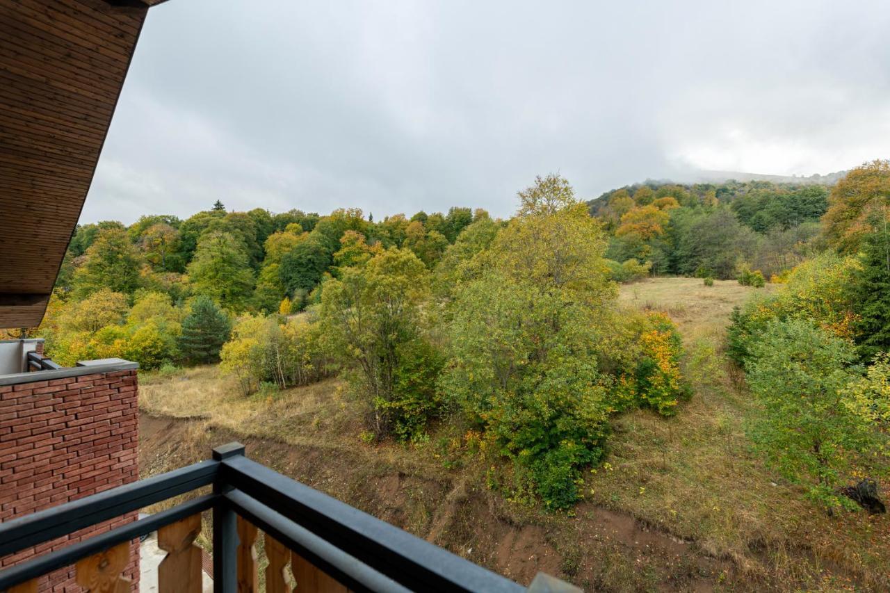 - Didveli Residence Lux Apartments - Bakuriani Exteriér fotografie